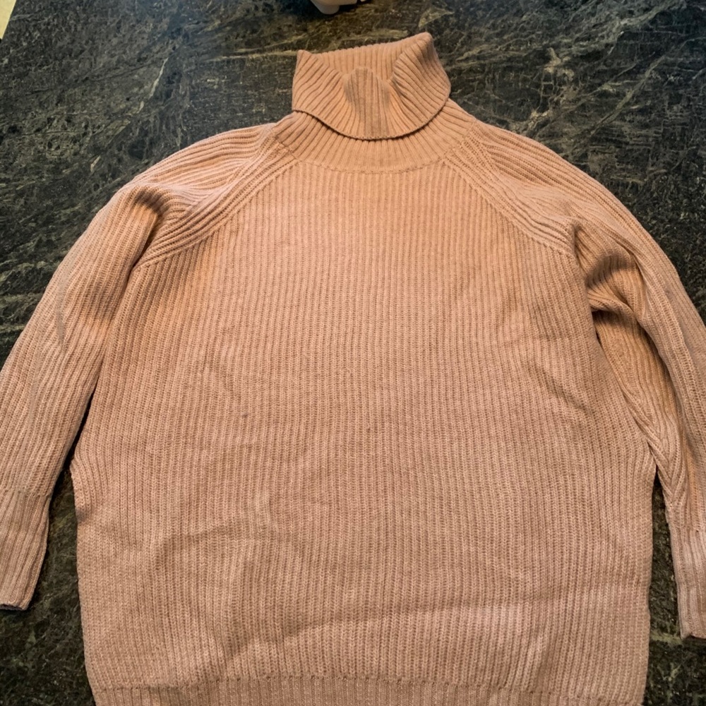 Aritzia Wilfred Turtleneck Tunic